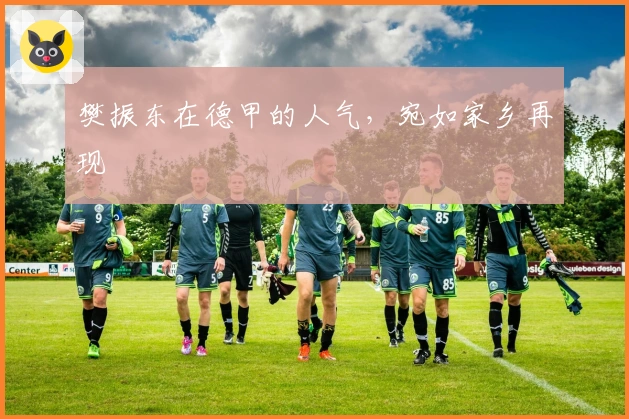 樊振东在德甲的人气，宛如家乡再现