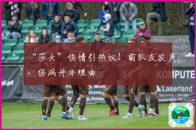 “莎头”伤情引热议！前队友发声，伤病并非理由